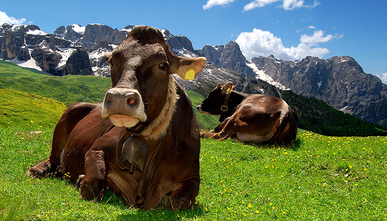 Bdmq-dolomites-biking-3